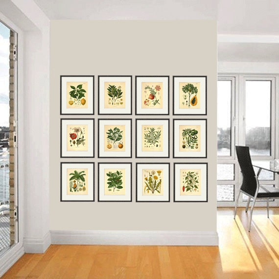 Kitchen Herbs wall art antique botanical print set of 12 herb