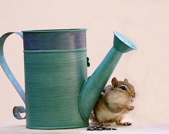 Chipmunk Print, Watering Can, Garden Art, Gardener Gift, Cute Animals, Wildlife Prints, Woodland Print, Nature Photography, Wildlife Photo
