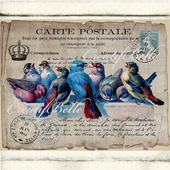 Carte Postale Vintage Bluebirds French Antique Style Postcard