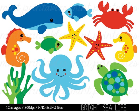 Download Sea Animal Clipart Under the Sea Baby Sea Creatures Clip