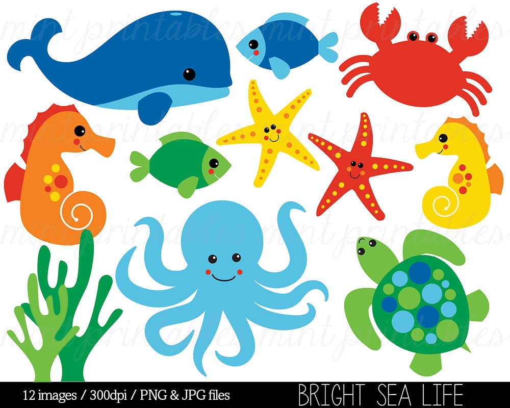 Sea Animal Clipart Under the Sea Baby Sea Creatures Clip