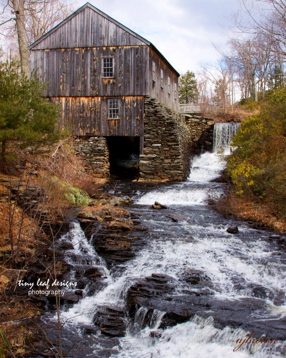 Moore State Park Paxton Massachusetts Original by TinyLeafDesigns1