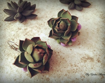 Green Succulent Earrings. Polymer clay earrings. Polymer clay jewelry. Polymer clay Succulent. Succulent plant jewelry. Succulent Jewelry