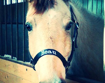 Custom Personalized Horse Halters w/ Embroidered Name on Noseband. Pony Halters, Mini Halters, and Oversize available. Fully Customizeable