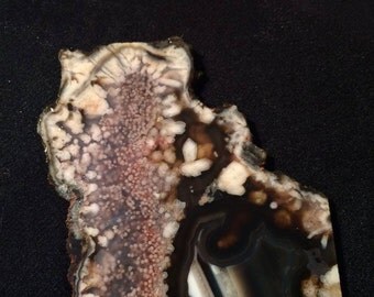 Fig Seeds.. and banded agate slice unpolished