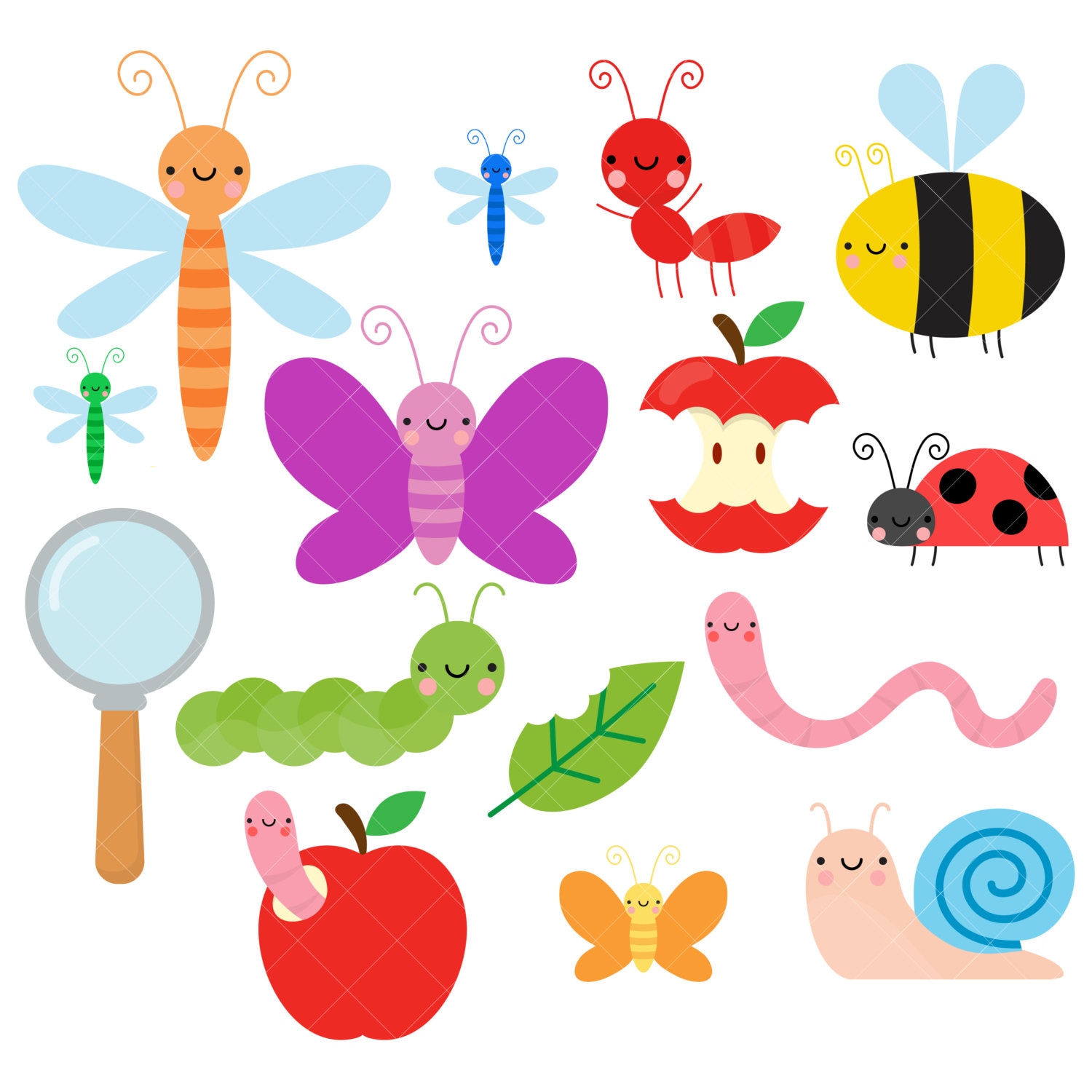 Bug Clipart / Cute Bugs Clipart / Insect Clipart