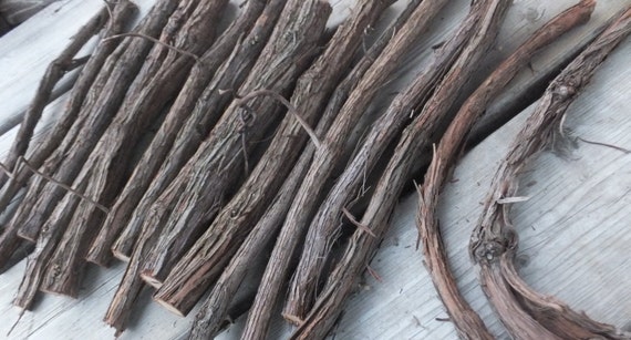 dried grape vine branches