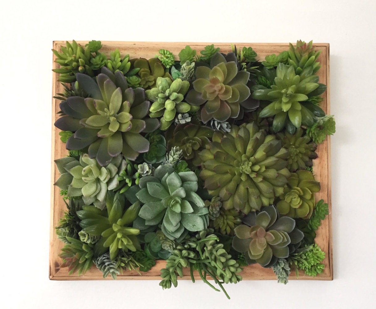 Succulent Arrangement Artificial Succulent Vertical Wall