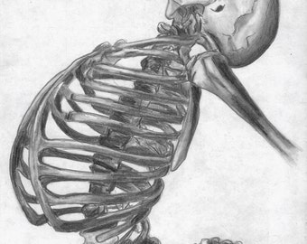pencil sketch of human body parts