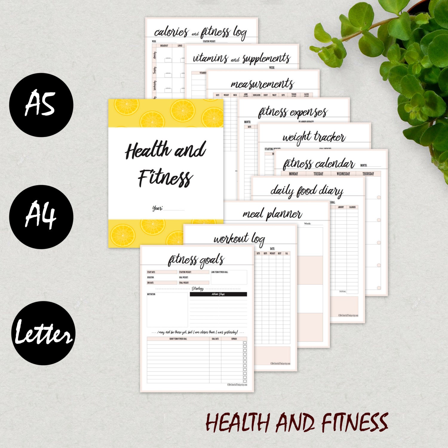Fitness Planner Fitness Journal Health Planner Workout Log