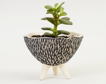 Black and White Pottery Planter ~ Textured Ceramics Ceramic Plant Pot Modern Planter Ceramic Planter Cactus Planter~Handmade Ceramic Bowl UK