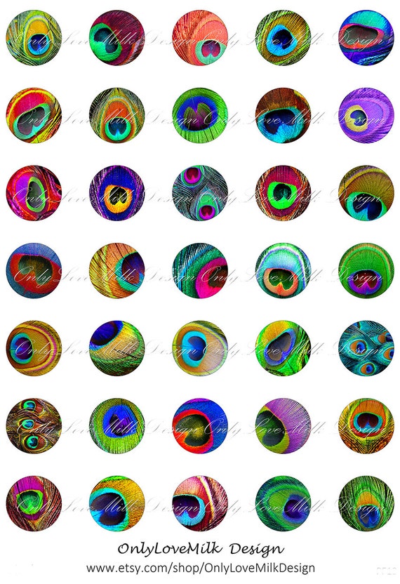 Jujube coupon code