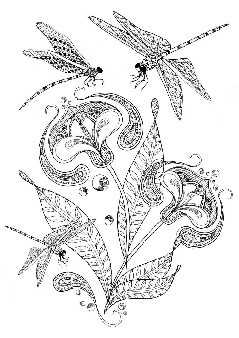 20+ Dragonfly Coloring Page | karlinhacolucci