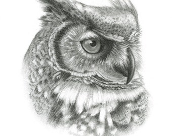Items similar to Pen and Ink Owl Drawing Great Horned Owl Art Print 5X7 ...