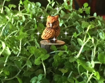 Fairy garden, micro mini owl, tiny owl, teensy owl, miniature garden, micro owl, miniature owl, miniature garden owl, micro fairy owl