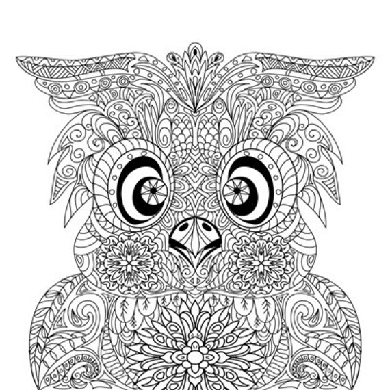 items similar to instant download owl portraitcoloring