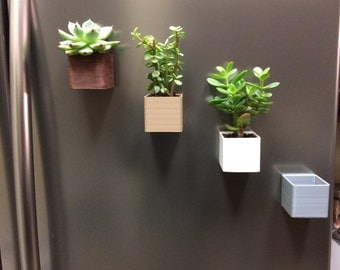 3D printed magnetic planters (Set of 2 or more)-Free shipping