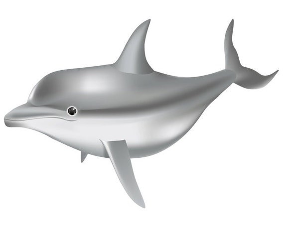 Water Baby Image Dolphin Cutout Dolphin by DigitalArtMovement