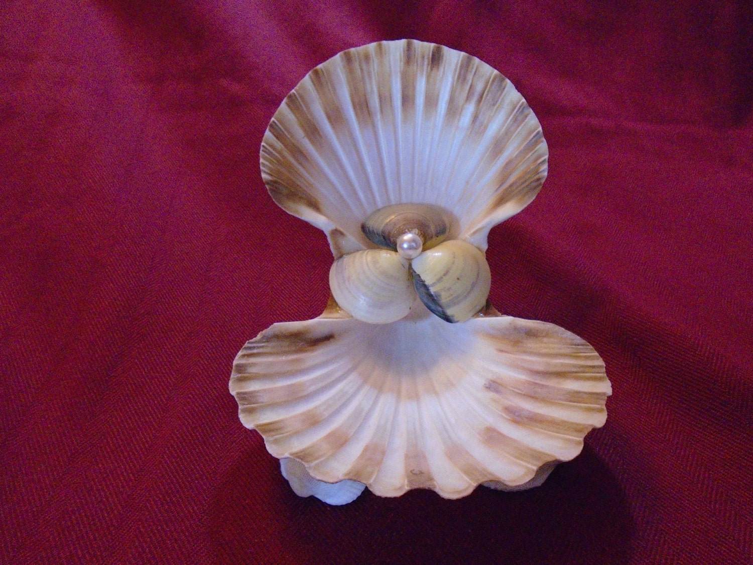 Seashell Candle Holder. Tealight Candle Holder. Pillar Candle
