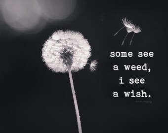 Dandelion Wall Art, Dandelion Wall Decor, Black & White Wall Art, Home Wall Art, Home Wall Decor, Inspirational Wall Decor
