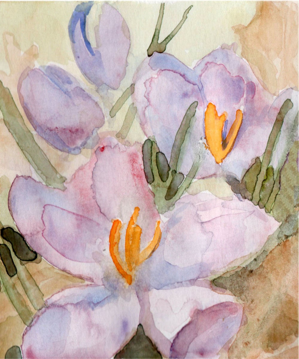 Crocus Picture Crocus Watercolor Print by SycamoreWoodStudio