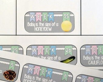 Pregnancy planner stickers / week by week baby stickers / Fits Erin Condren Planners, Happy Planners, Passion Planners & more!