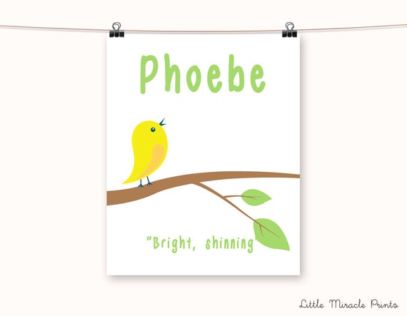 Download Phoebe Bird Branch Fine Art Paper Baby Name Poster Girl