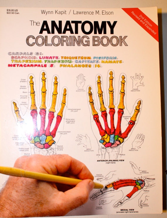 Download The Anatomy Coloring Book by Wynn Kapit & Lawrence M. Elson