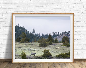 landscape, woodland, nature, photography, instant download art, printable art, large art, large wall art, print - "High Country Traveler"