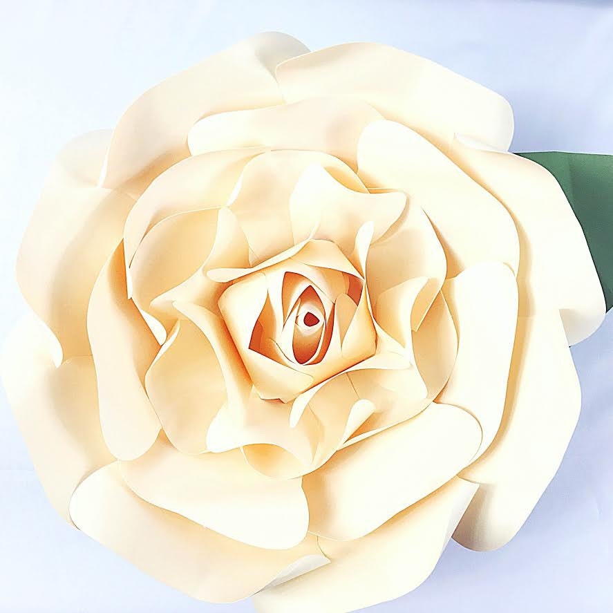 Download Large Paper Rose Templates and Tutorial Giant Paper Flowers