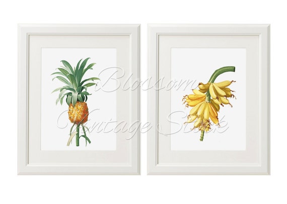 Fruits Printable Set Botanical Prints Fruit Illustrations