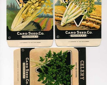 Vintage seed packets | Etsy