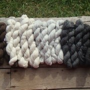 Wool n Feather Farm Store by woolnfeatherfarm on Etsy