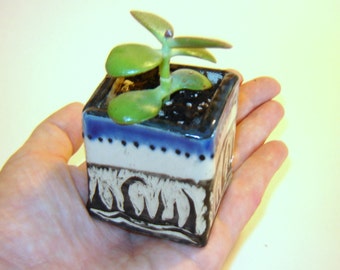 Box Planter – succulent planter – blue ceramic box – indoor garden – desk planter – utensil holder – plant cuttings - herb planter