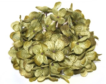 Full Hydrangea Head in Olive Green - PRE-ORDER