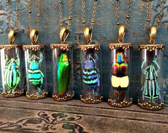Real Insect jewelry Terrarium necklace Taxidermy jewelry Best selling items Glass terrarium jewelry Beetle Bug jewelry Dandelion necklace