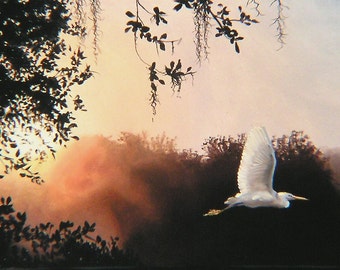 Snowy Egret 11 x 17 print (image 8.25 x 16.5) personally signed by artist RUSTY RUST / E-42-P