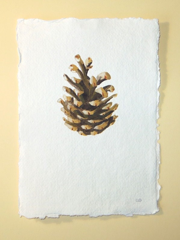 Original pine cone watercolour painting study by SeasideStudiosUK