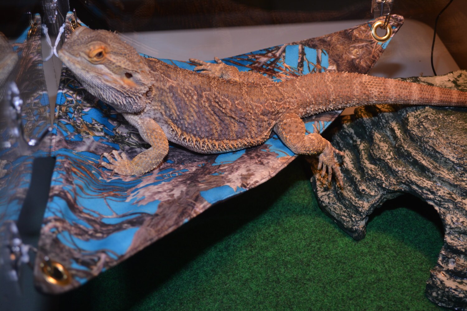 Bearded Dragon Hammock Lounge Bed Bright Blue Real Tree camo