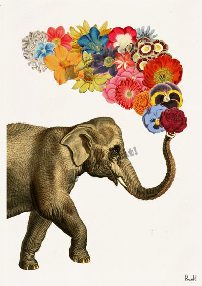 Elephant with Flowers Elephant Wall Art Giclee Print Elephant wall