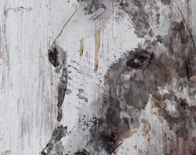 Jack Horse. Extra Large Horse, Unique Horse Wall Decor, Brown Rustic Horse, Large Contemporary Canvas Art Print up to 72" by Irena Orlov