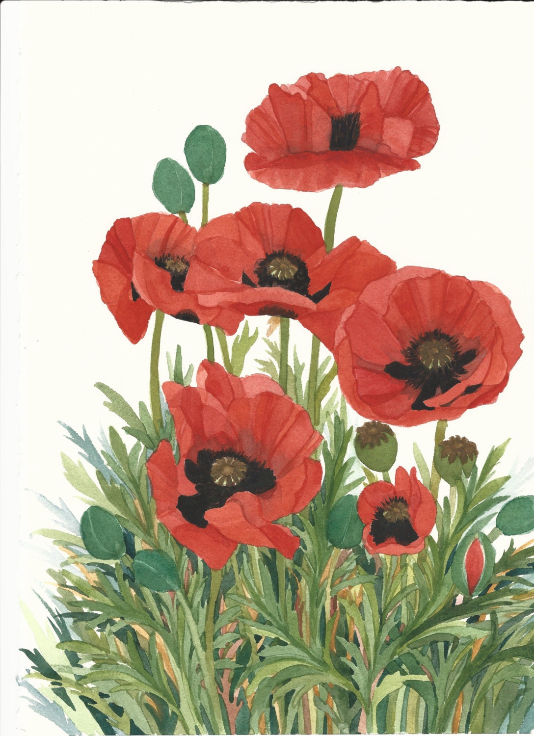 Red Poppy Field Original Watercolor Painting by Wanda