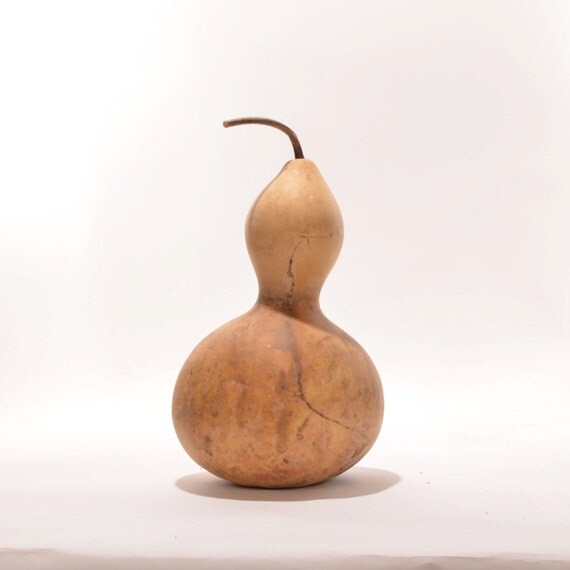 Large Bottle Gourd Natural Gourd