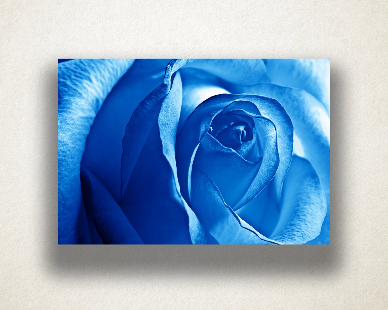 Blue Rose Canvas Art Rose Close Up Wall Art Rose Canvas