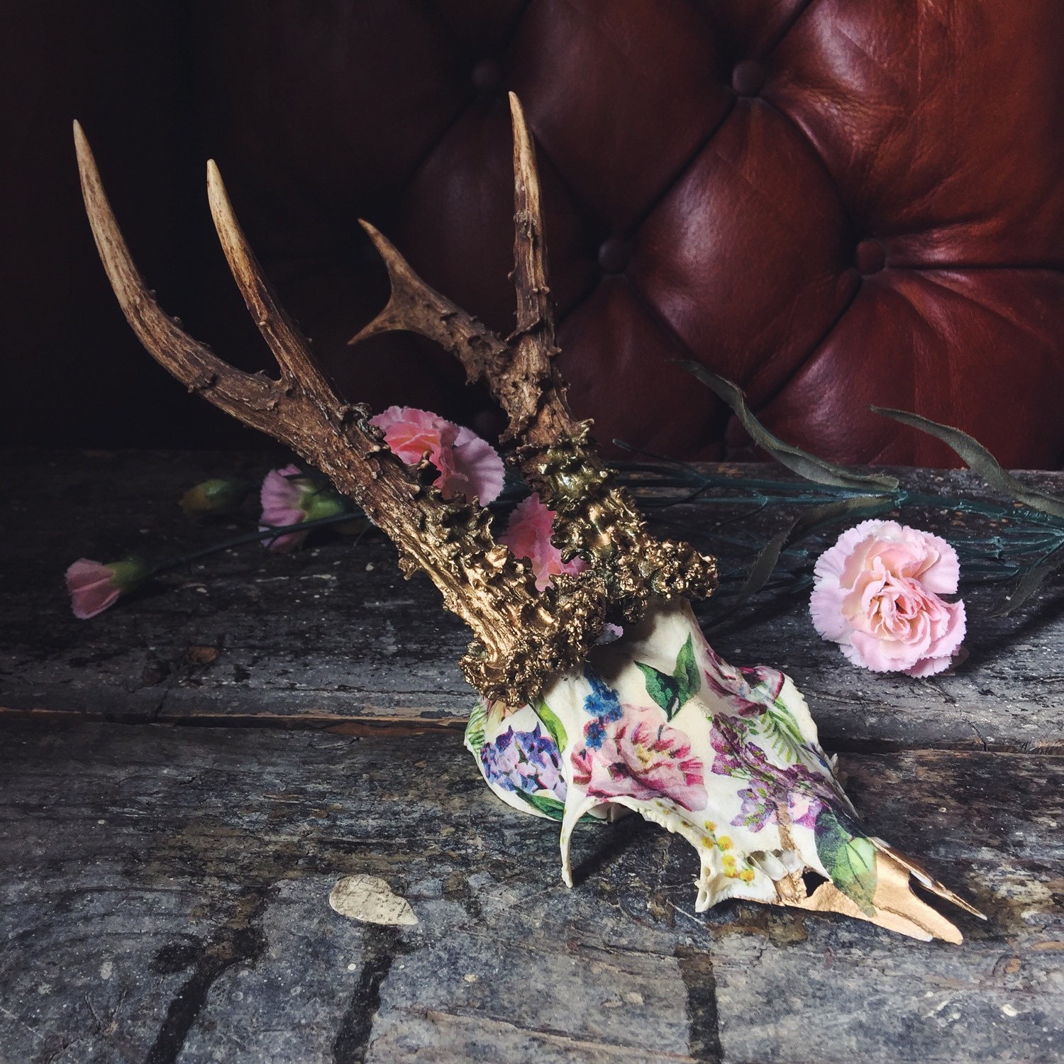 Skull Decor // Animal Skull // Deer Skull by ArrowandWild on Etsy