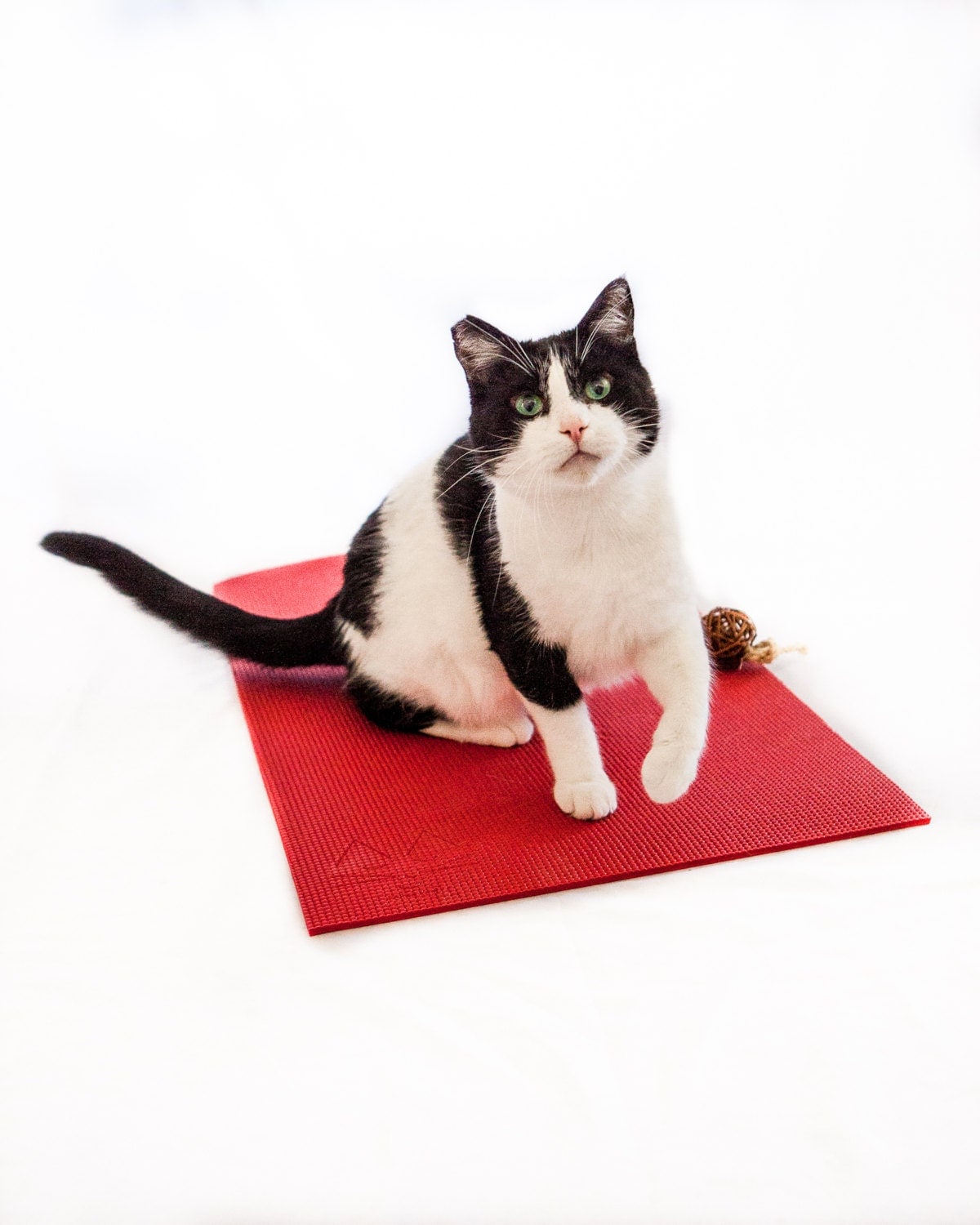 Yoga Mat for Cats Red Yoga Mat Cat Scratcher Red Yoga Cat