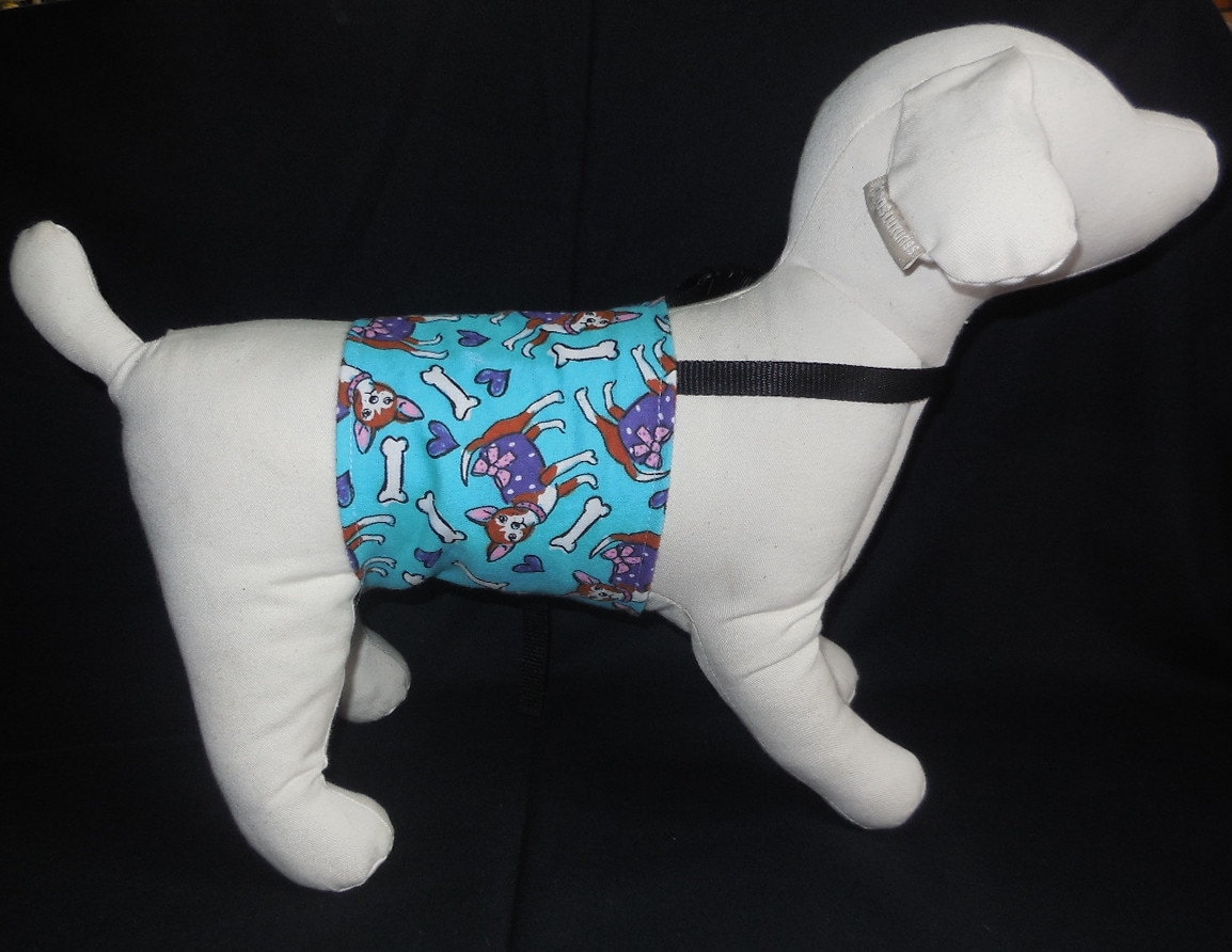 Male dog belly band diaper in CHIHUAHUA print your choice of