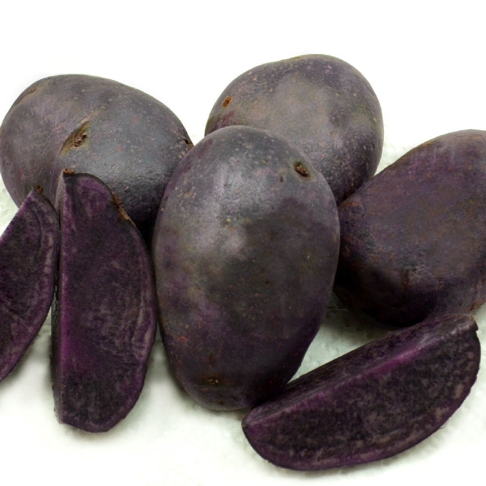 Purple Majesty Seed Potatoes Certified by FreshGardenLiving