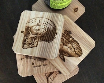 Oak Wooden Anatomy Coasters, Medical Coasters, Gift for Doctor or Nurse