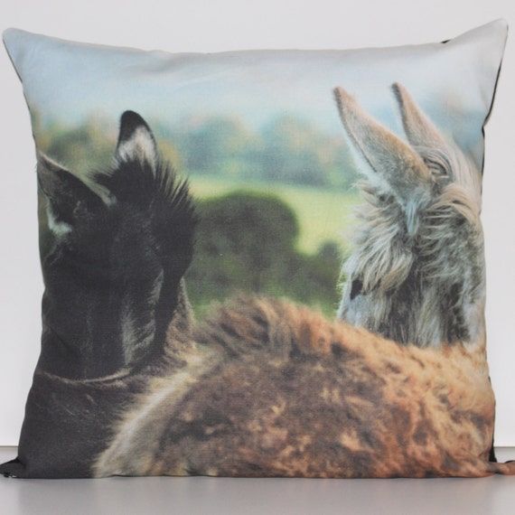 donkey cushion